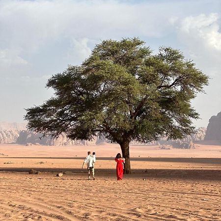 Sunset Dreams Camp Apartment Wadi Rum Exterior photo
