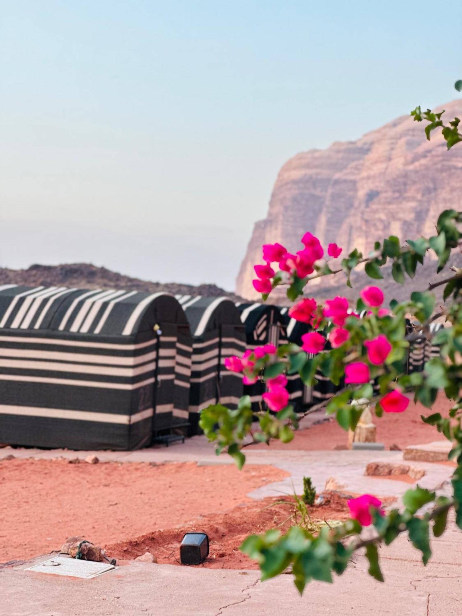 Sunset Dreams Camp Apartment Wadi Rum Exterior photo